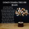 Gomti Chakra Tree Beads Remedywala