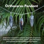 Orthoceras Pendant (6)