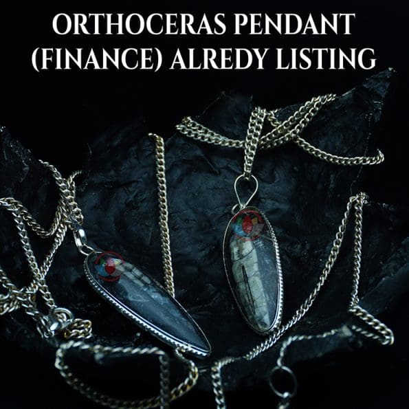 Finance Pendant Orthoceras Stone Pendant