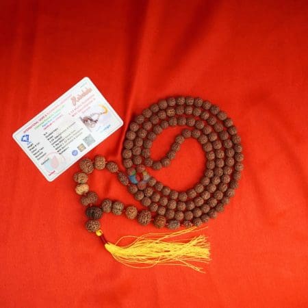 Siddh 1-14 Mukhi Rudraksha Mala with Lab Certificate