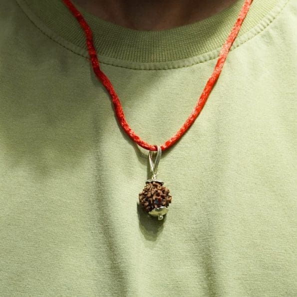 3 Mukhi Rudraksha / Three Face Rudraksha / Nepali Rudraksha with Certificate