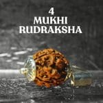 4 Mukhi Rudraksha / Four Face Rudraksha / Nepali Rudraksha with Certificate