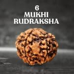 6 Mukhi Rudraksha / Six Face Rudraksha / Nepali Rudraksha with Certificate