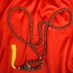 Siddh 1-14 Mukhi Rudraksha Mala with Lab Certificate