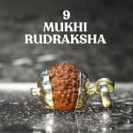 9 Mukhi Rudraksha / Nine Face Rudraksha / Nepali Rudraksha with Certificate