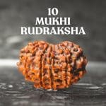 10 Mukhi Rudraksha / Ten Face Rudraksha / Nepali Rudraksha with Certificate