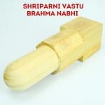 Shriparni Vastu Brahma Nabhi or Vaastu Brahma Shanku for Fixing Vastu Doshas