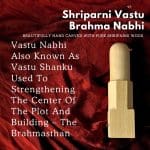 Shriparni Vastu Brahma Nabhi or Vaastu Brahma Shanku for Fixing Vastu Doshas