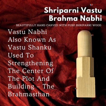 Shriparni Vastu Brahma Nabhi or Vaastu Brahma Shanku for Fixing Vastu Doshas