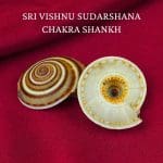 Sri Vishnu Sudarshana Chakra Shankh