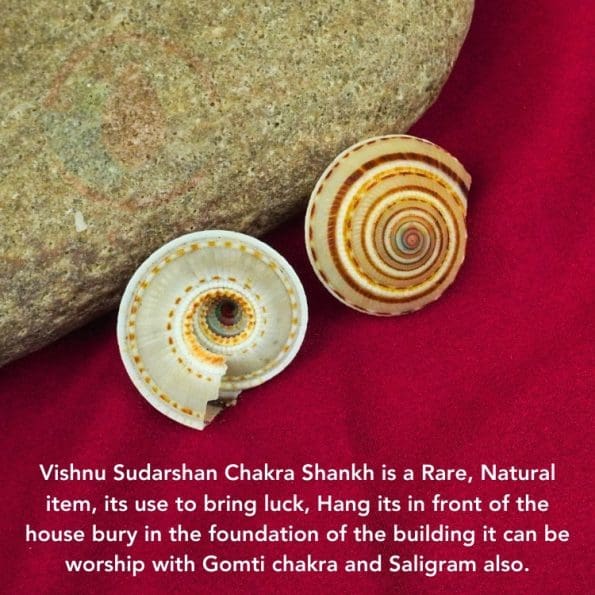 Sri Vishnu Sudarshana Chakra Shankh