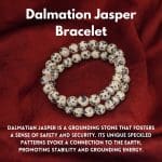 Dalmation Jasper Bracelet 8mm