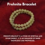 Prehnite Bracelet 8mm