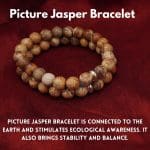 Picture Jasper Bracelet 8mm