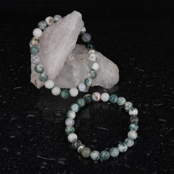 Tree Agate Bracelet 8mm single Bracelet, Tree Agate stone, Green color.