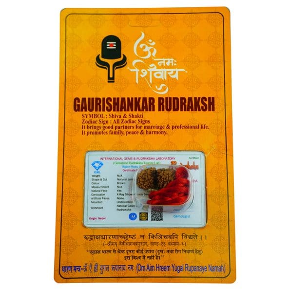 Gauri Shankar Rudraksha