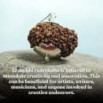 12 Mukhi Rudraksha/Twelve Face Nepali Rudraksha with Certificate