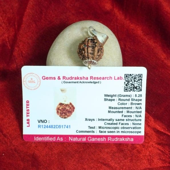 Natural Ganesh Rudraksha