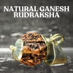 Natural Ganesh Rudraksha