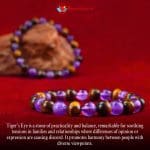 Tiger Eye & Amethyst Combination Bracelet