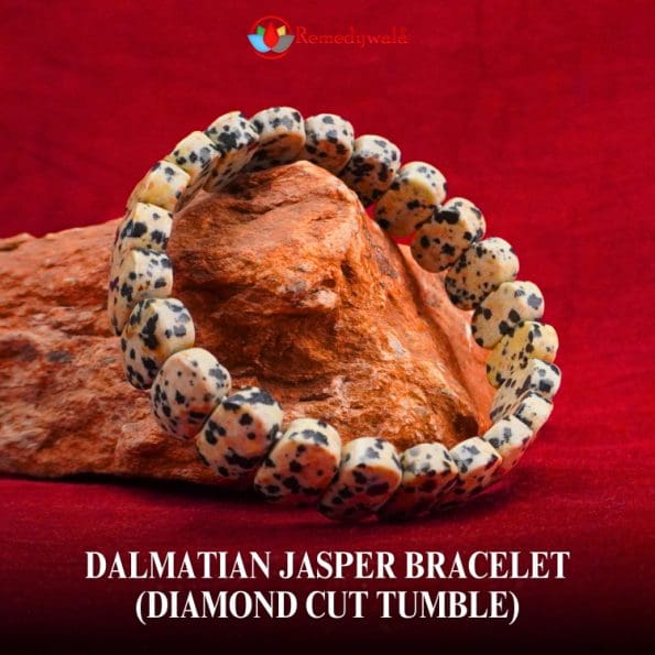 Dalmatian Jasper Bracelet (Diamond Cut Tumble)