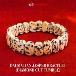 Dalmatian Jasper Bracelet (Diamond Cut Tumble)