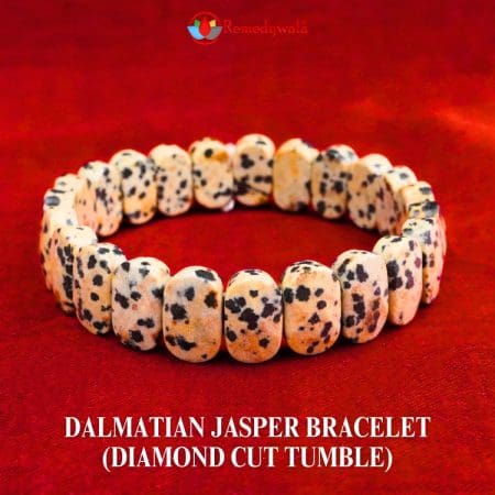 Dalmatian Jasper Bracelet (Diamond Cut Tumble)