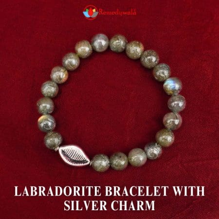 Labradorite Bracelet With Silver Charm – Remedywala