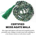 Moss Agate Crystal Mala With Certificate – Remedywala