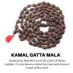 Kamal Gatta Mala