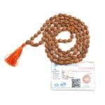 3 Mukhi Rudraksha Mala