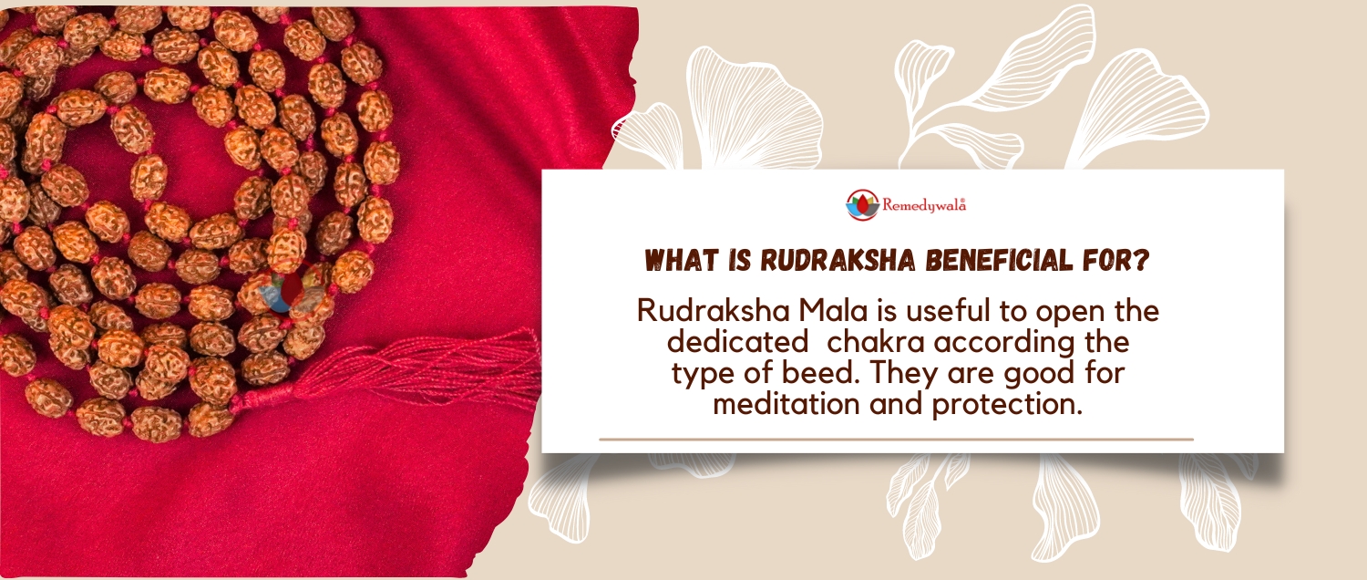 3 Mukhi Rudraksha Mala