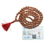 4 Mukhi Rudraksha Mala