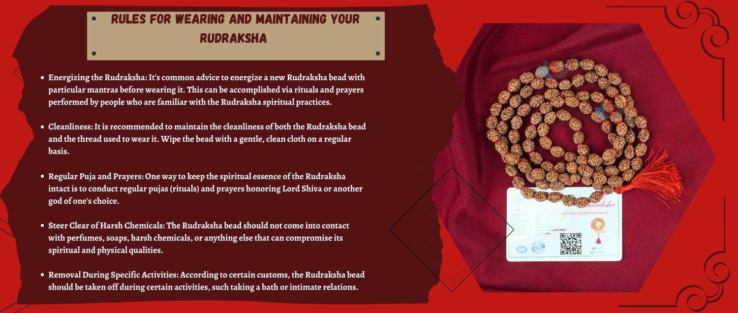 4 Mukhi Rudraksha Mala