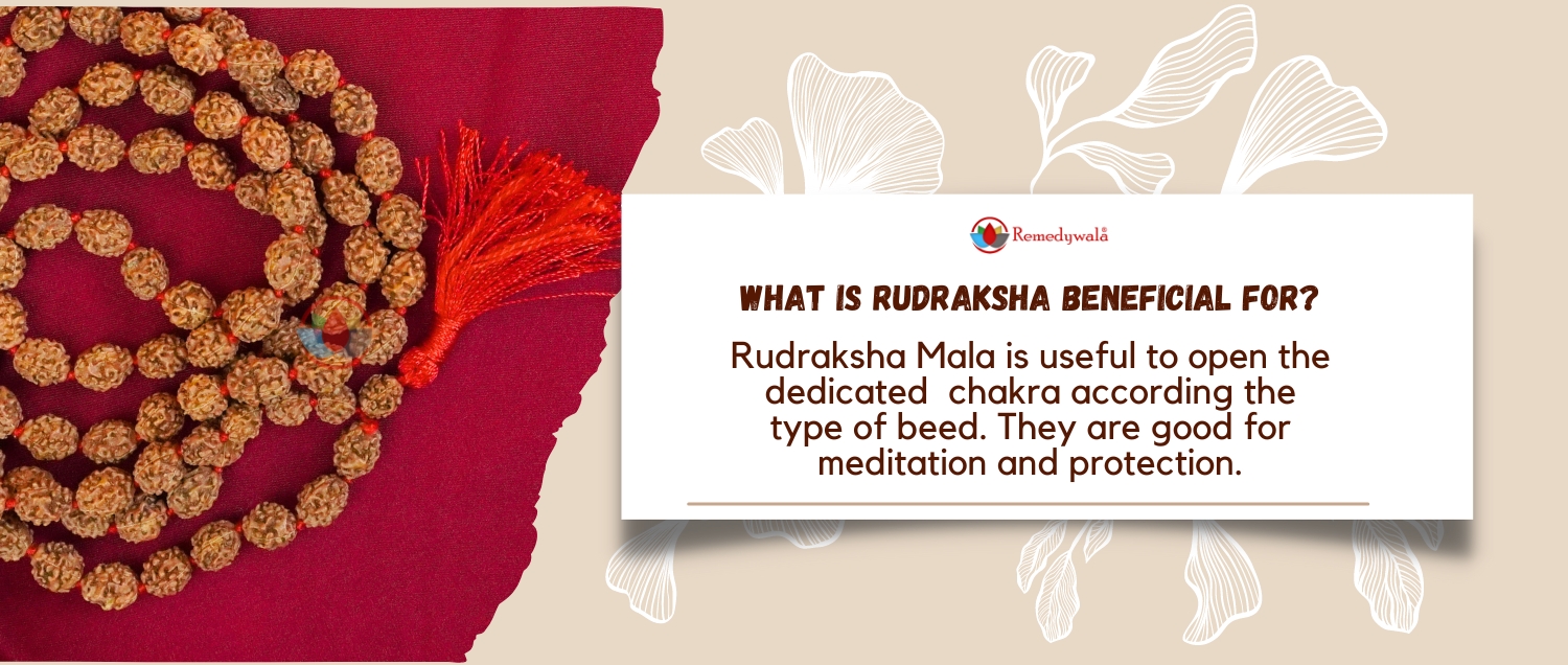 4 Mukhi Rudraksha Mala