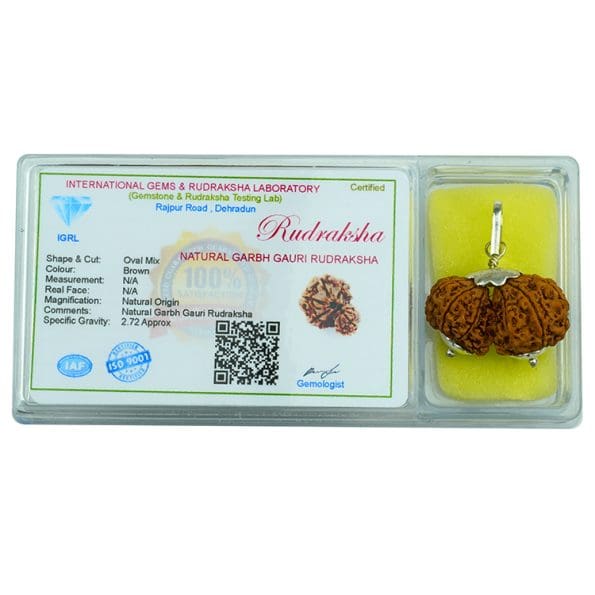 Garbh Gauri Rudraksha / Nepali Rudraksha with Certificate