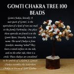 Gomti Chakra Tree 100 Beads