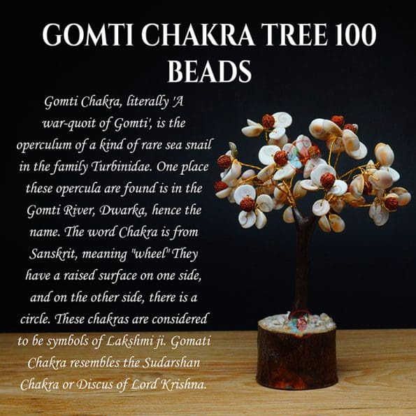 Gomti Chakra Tree 100 Beads