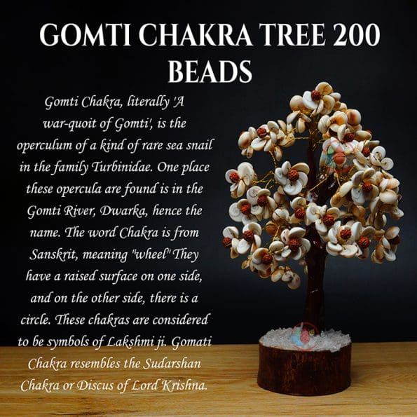 Gomti Chakra Tree 200 Beads