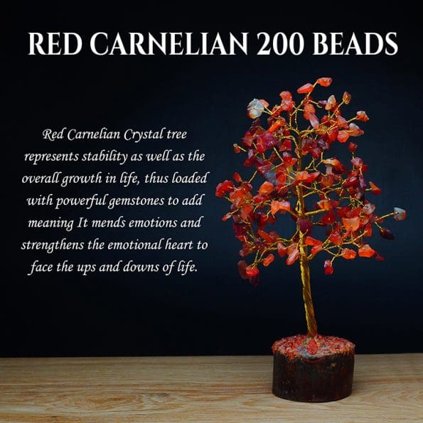 Red Carnelian 200 Beads