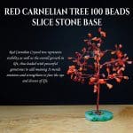 Red Carnelian Tree 100 Beads Slice Stone Base