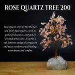 Rose Quartz Tree 200 Beads With Stone Base