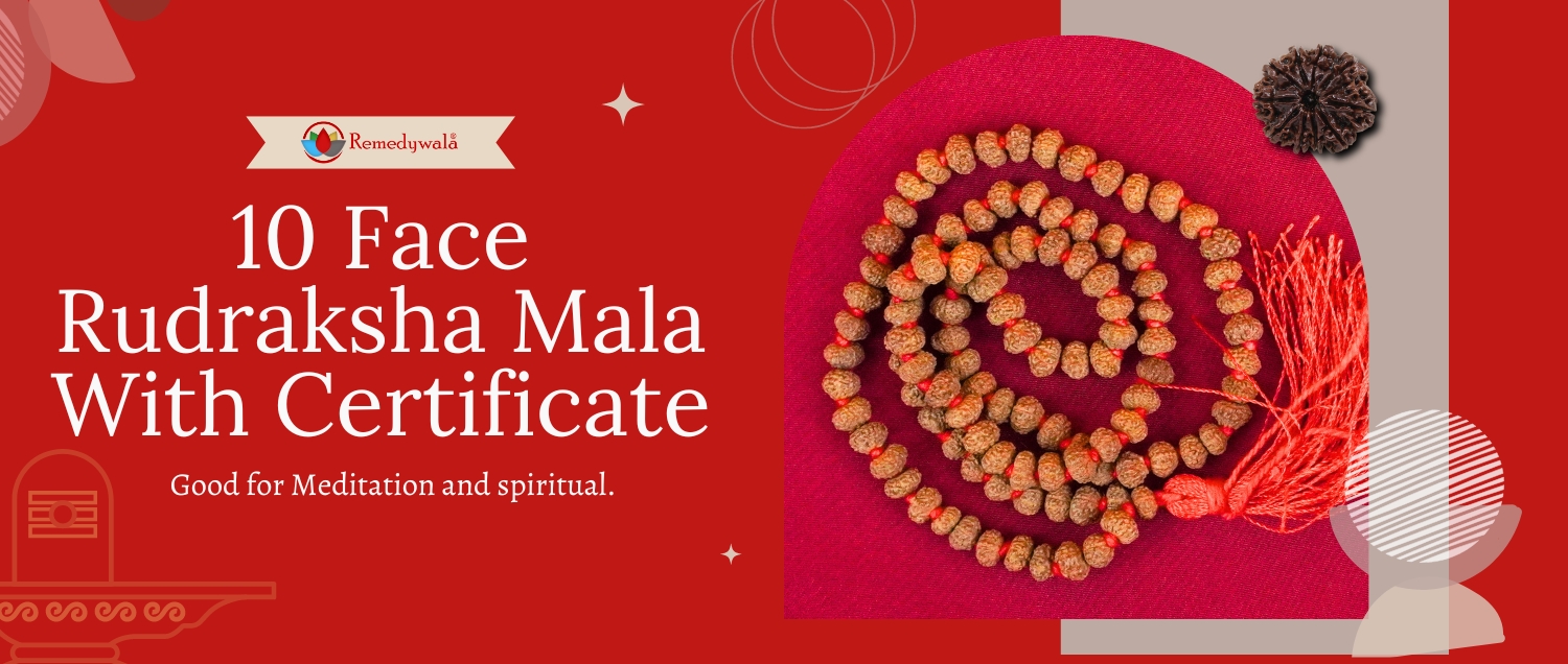 10 Mukhi Rudraksha Mala