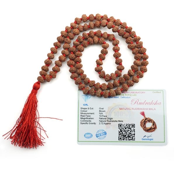 10 Mukhi Rudraksha Mala