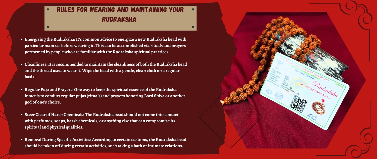 5 Mukhi Rudraksha Mala