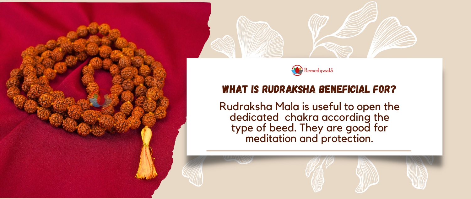 5 Mukhi Rudraksha Mala