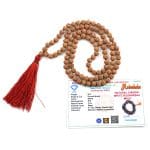 5 Mukhi Rudraksha Mala