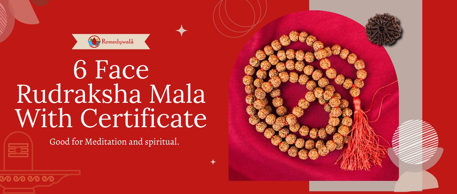 6 Mukhi Rudraksha Mala