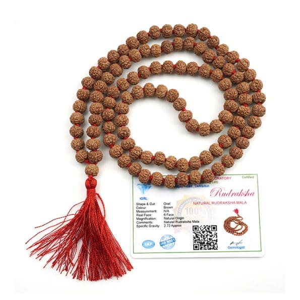 6 Mukhi Rudraksha Mala