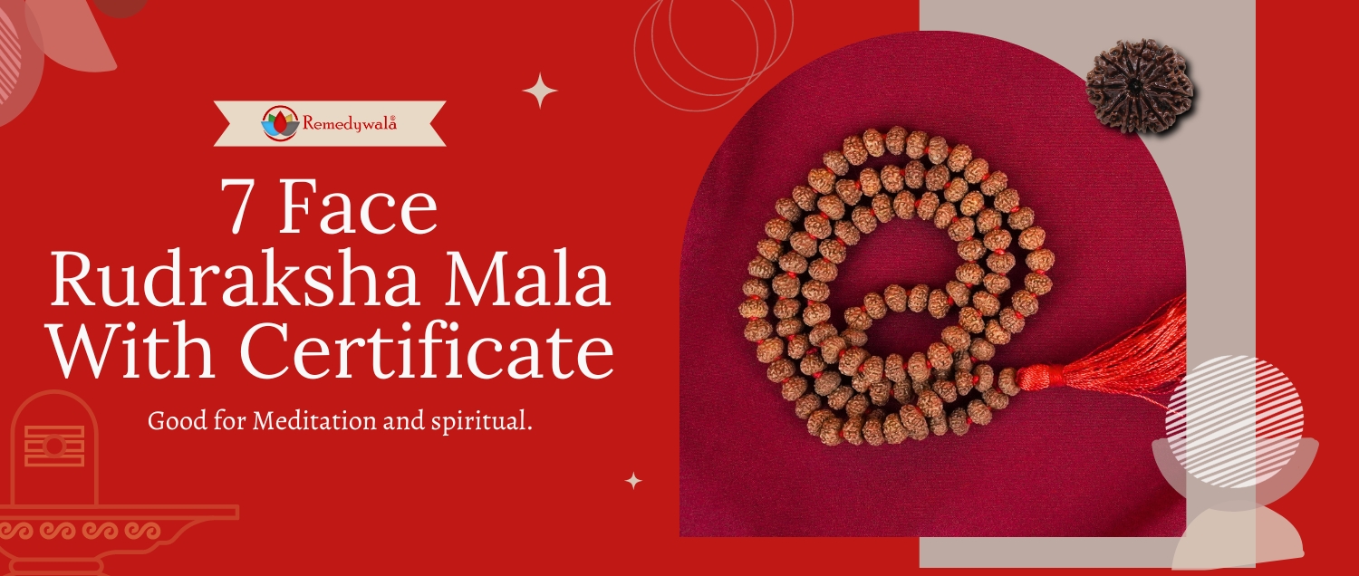 7 Mukhi Rudraksha Mala